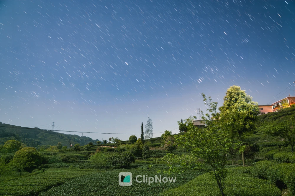 茶园星空星轨长曝光夜景与乡村民居风光摄影