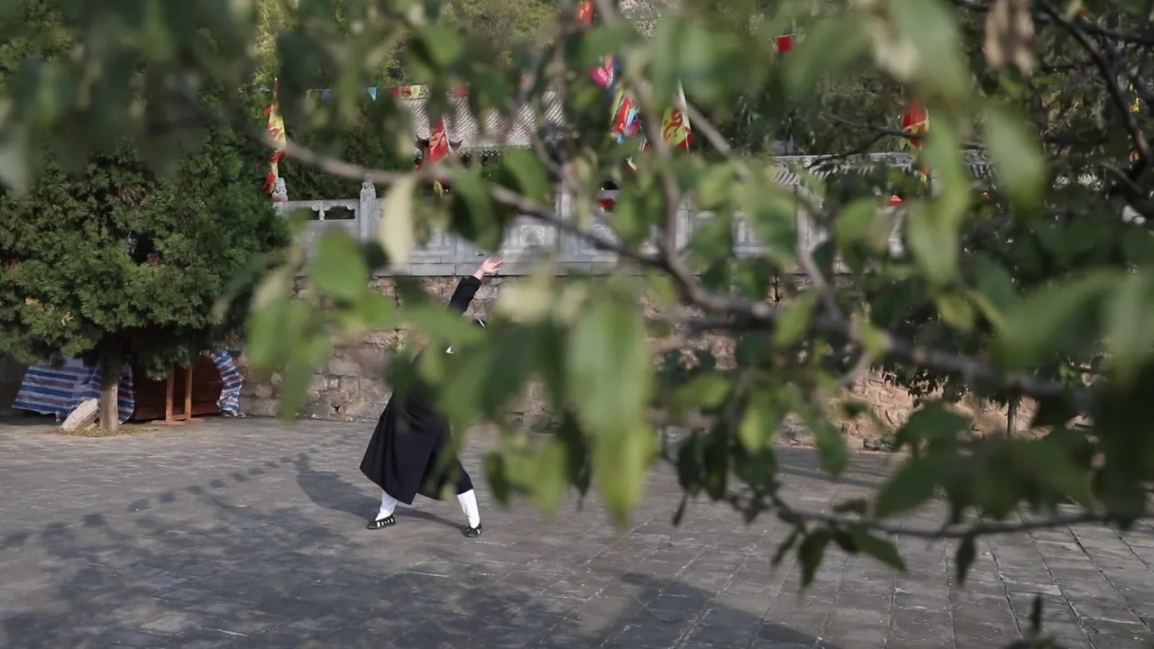 古装男子庭院练习太极武术