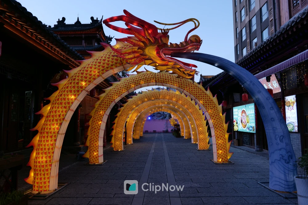 春节灯会 19