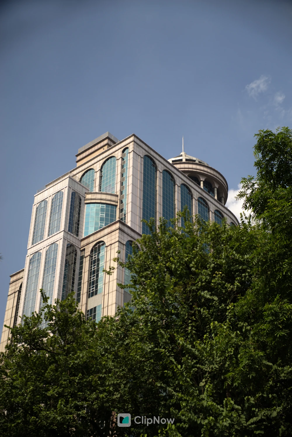 蓝天背景下现代玻璃幕墙写字楼与前景绿树仰拍