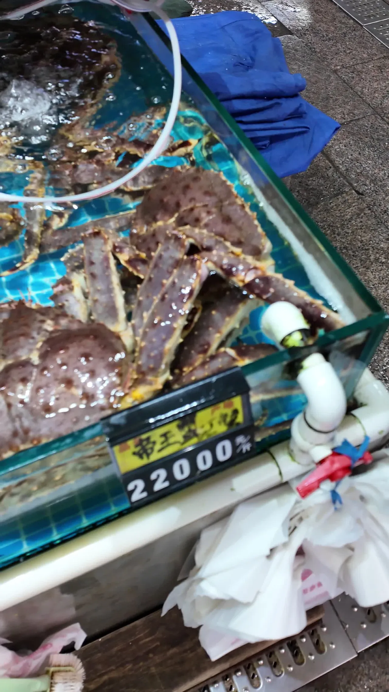 海鲜 17
