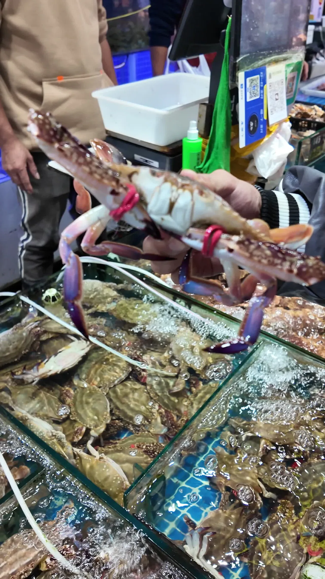 海鲜 20