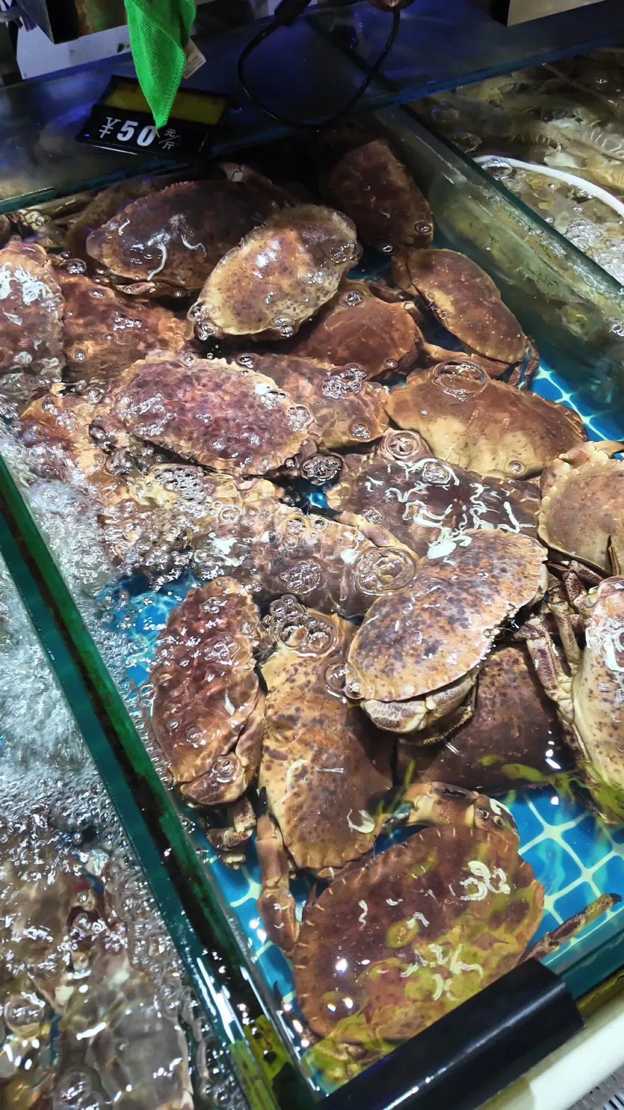 海鲜 21