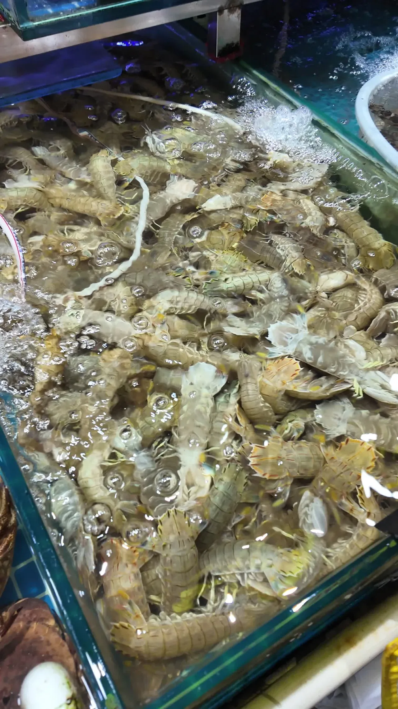 海鲜 22