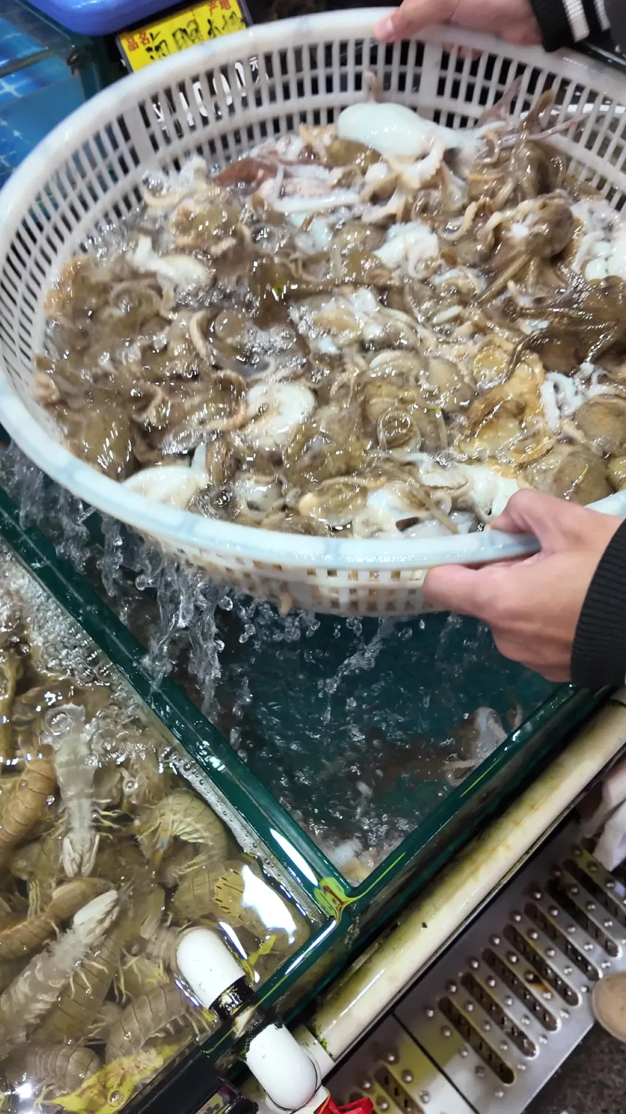 海鲜 25