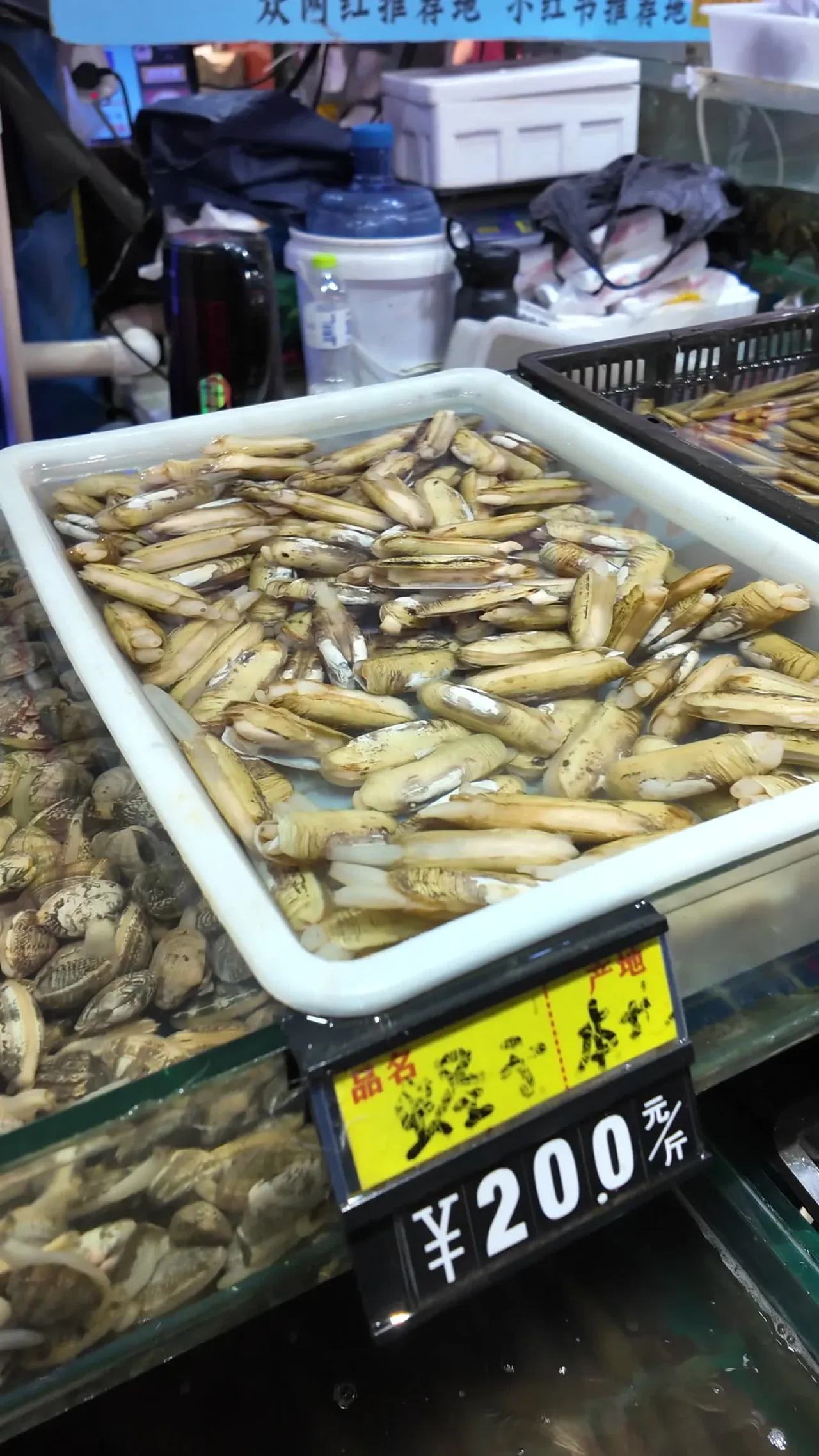 海鲜 26