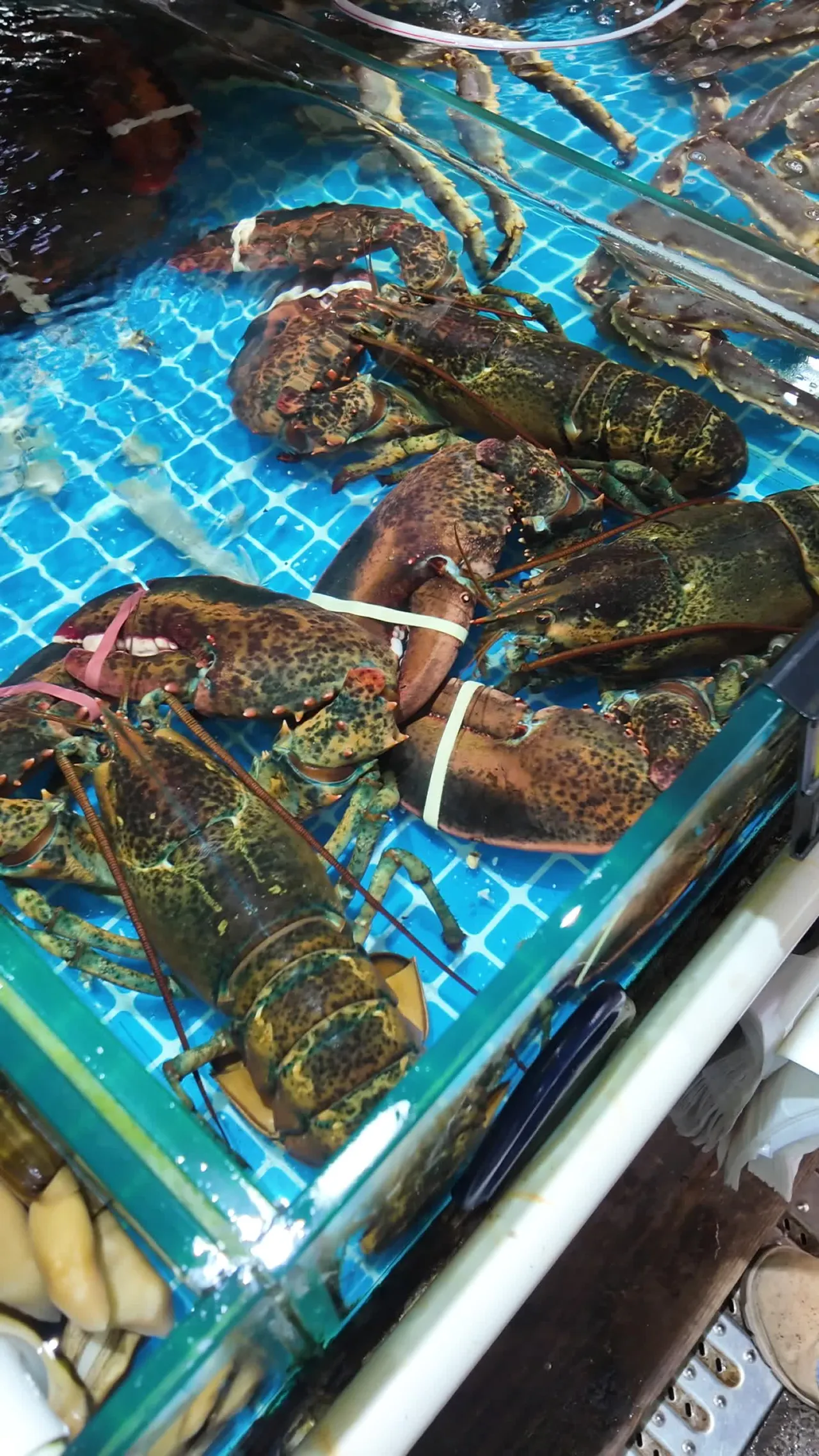 海鲜 27