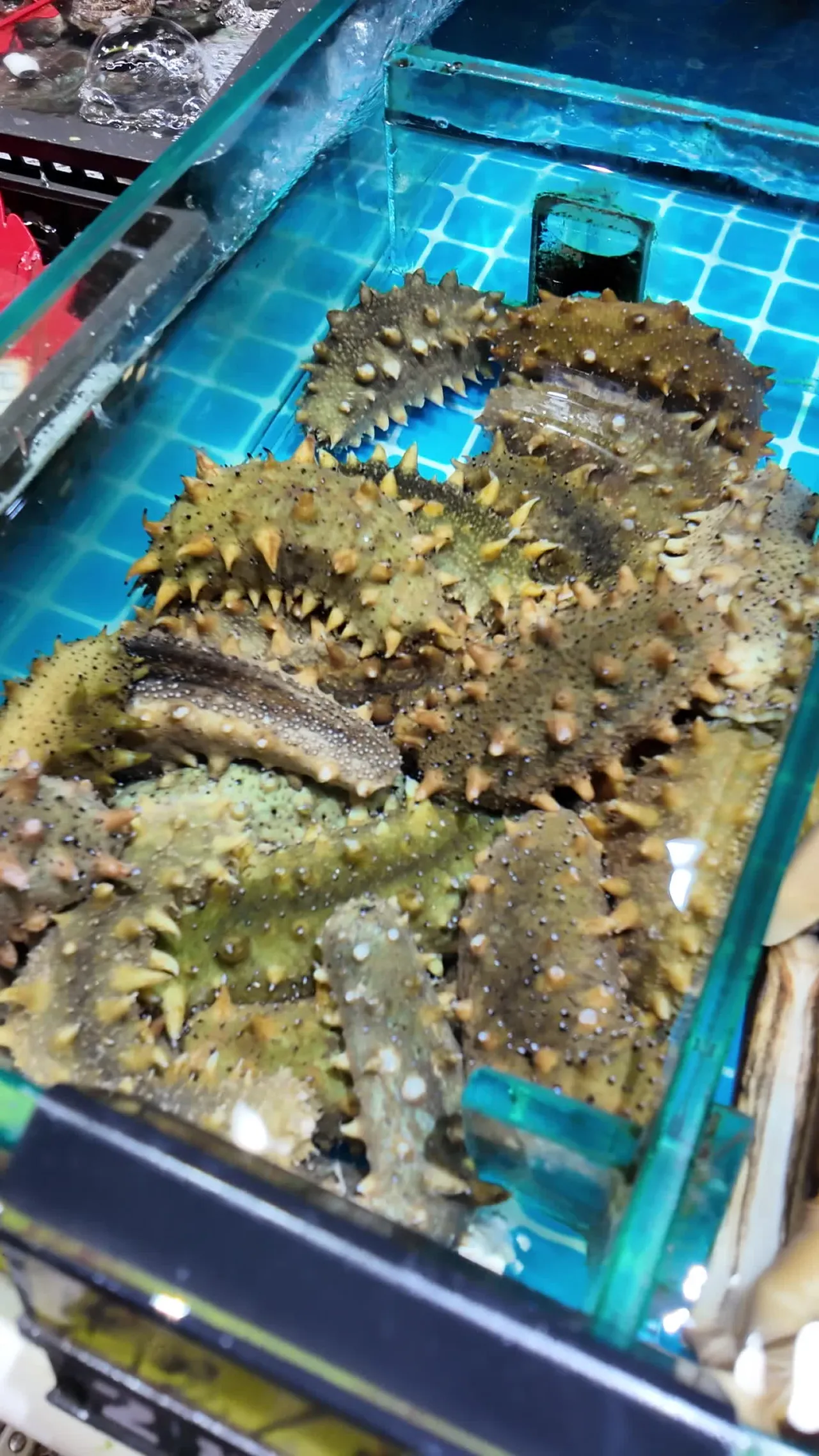 海鲜 29