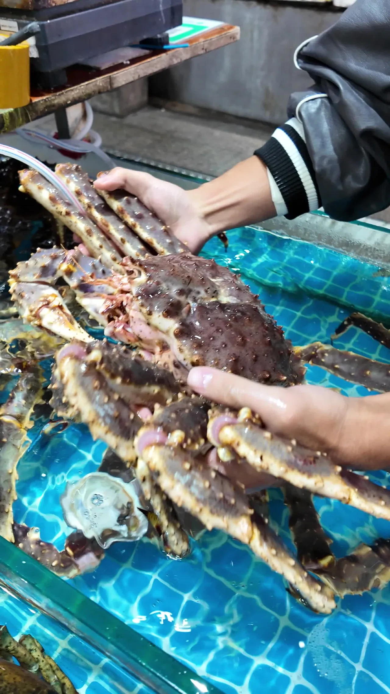 海鲜 31