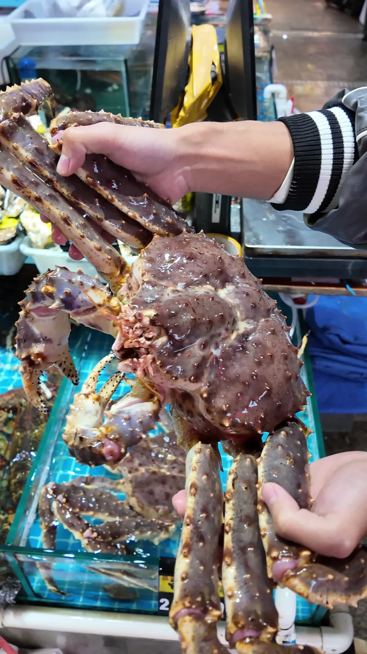 海鲜 32