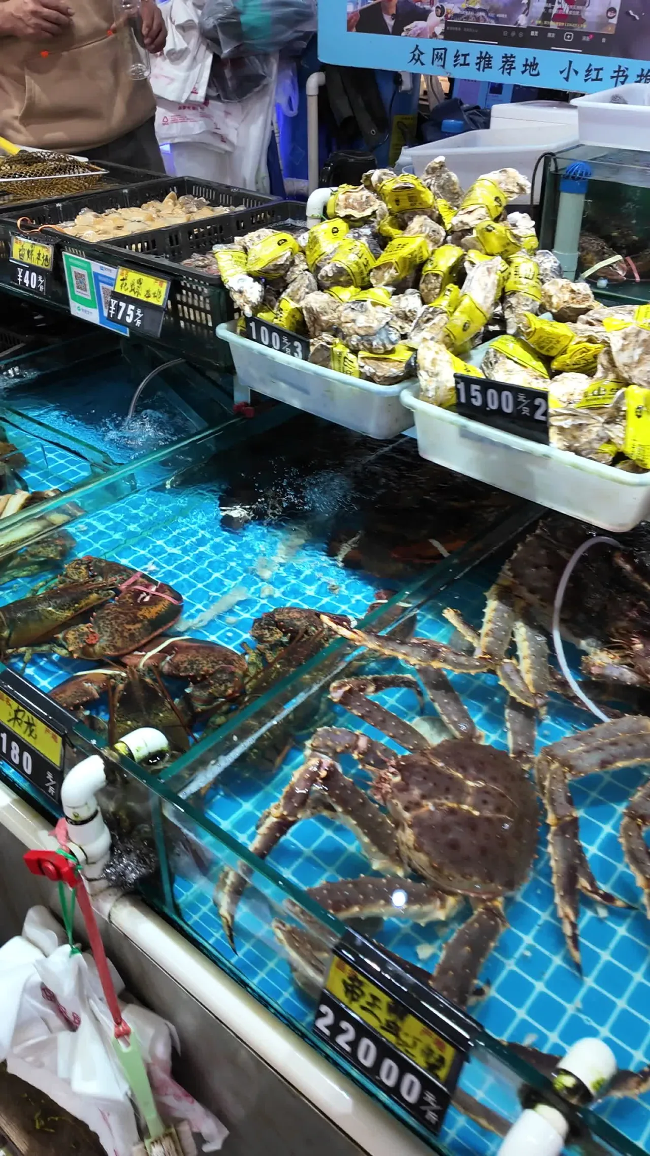 海鲜 33