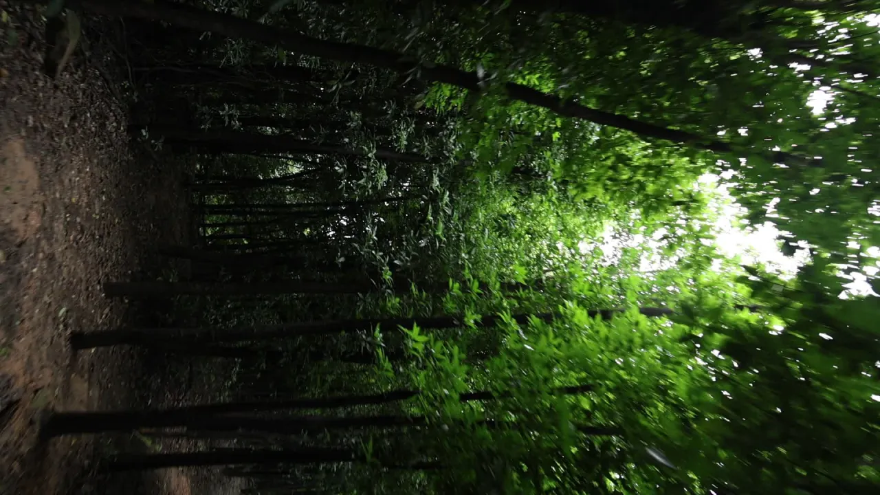 自然 2