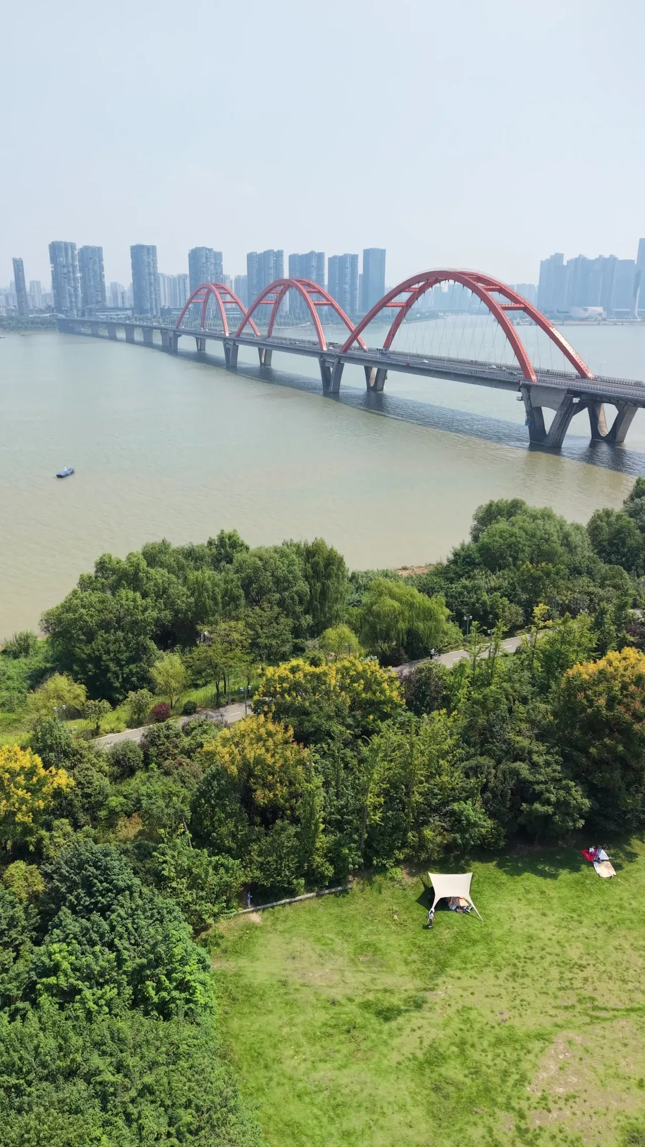 福元路大桥 5