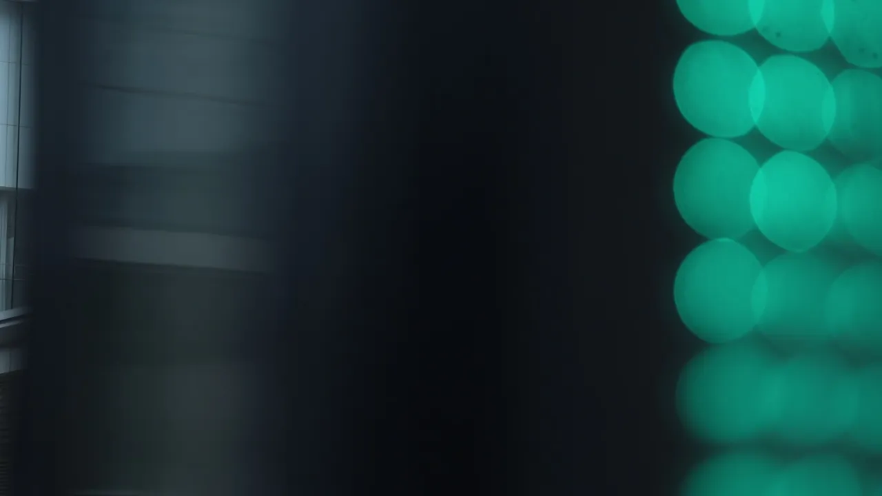 长沙 14
