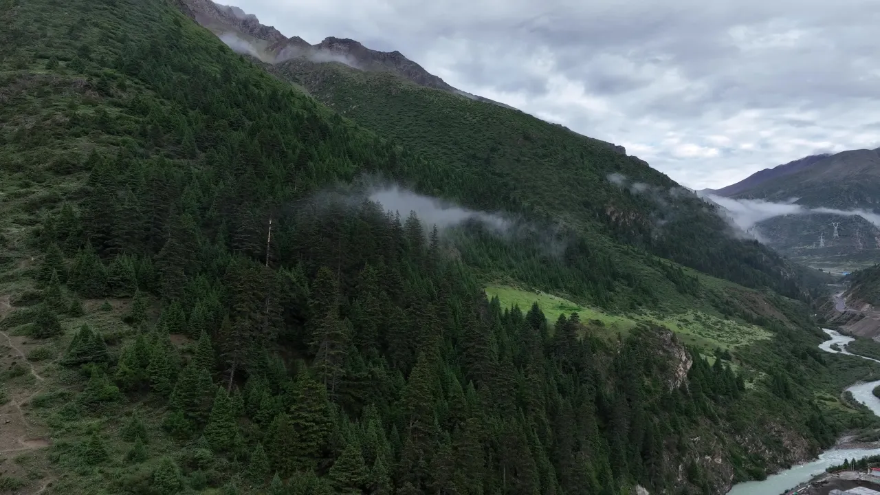 云雾缭绕的高山森林航拍