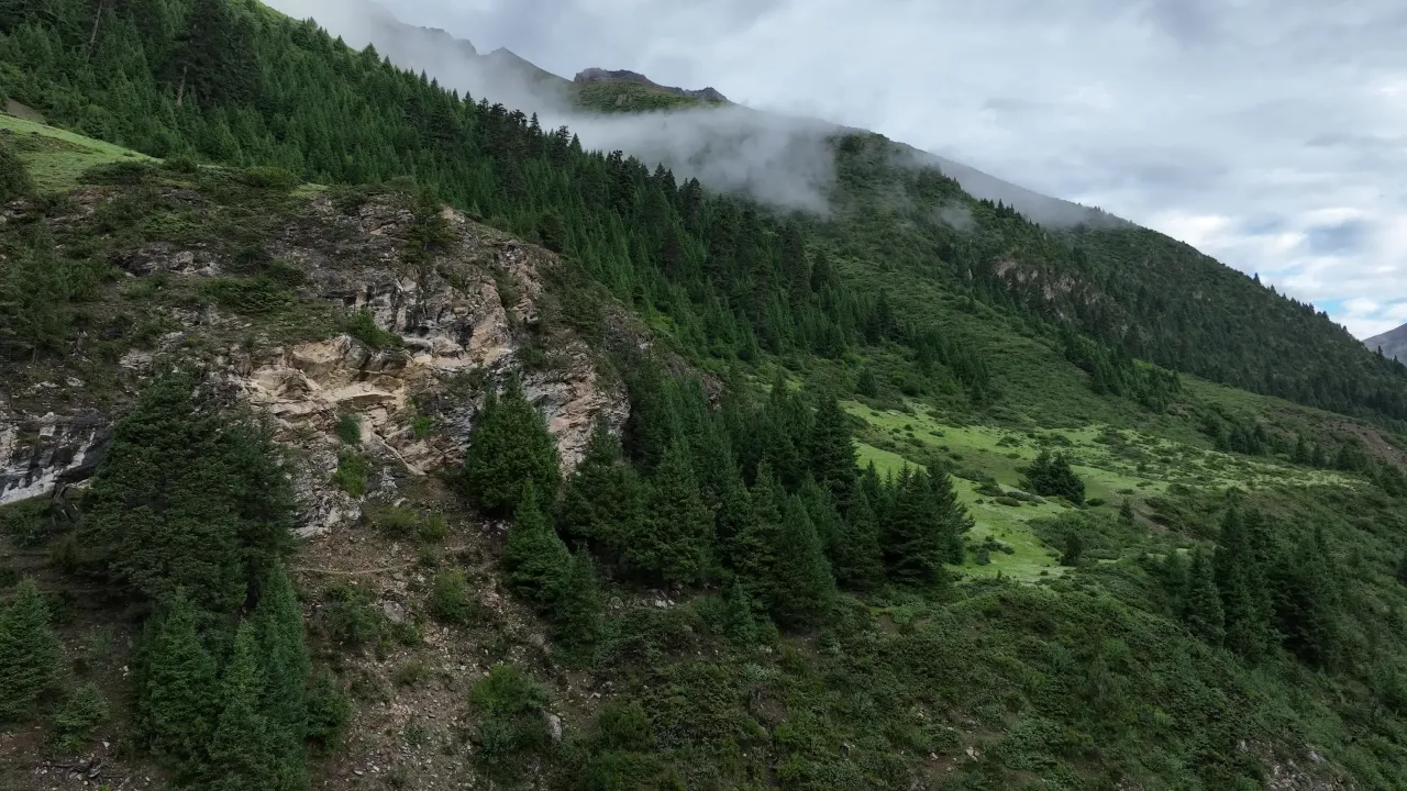 云雾缭绕的高山草甸航拍
