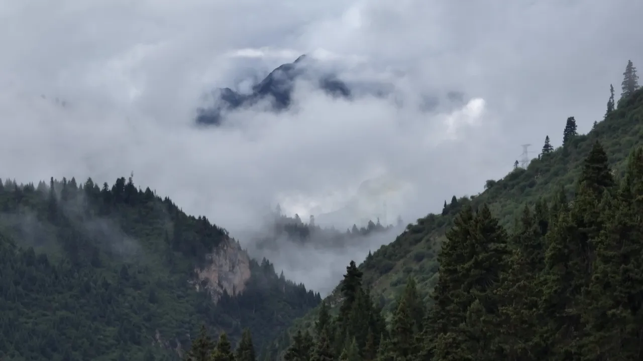 云雾缭绕的高山森林延时摄影