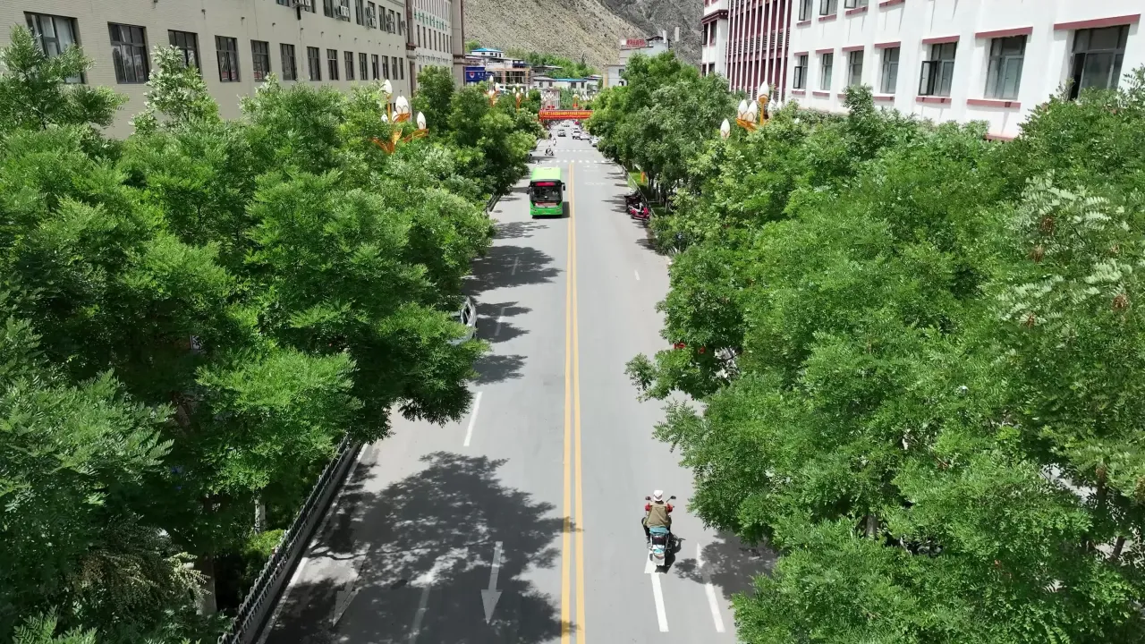 城市街道绿树成荫航拍