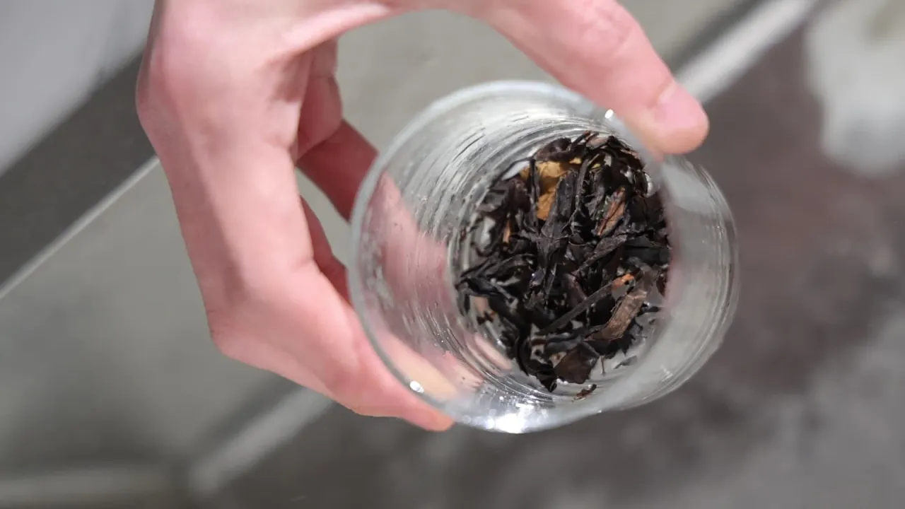 净水器 60