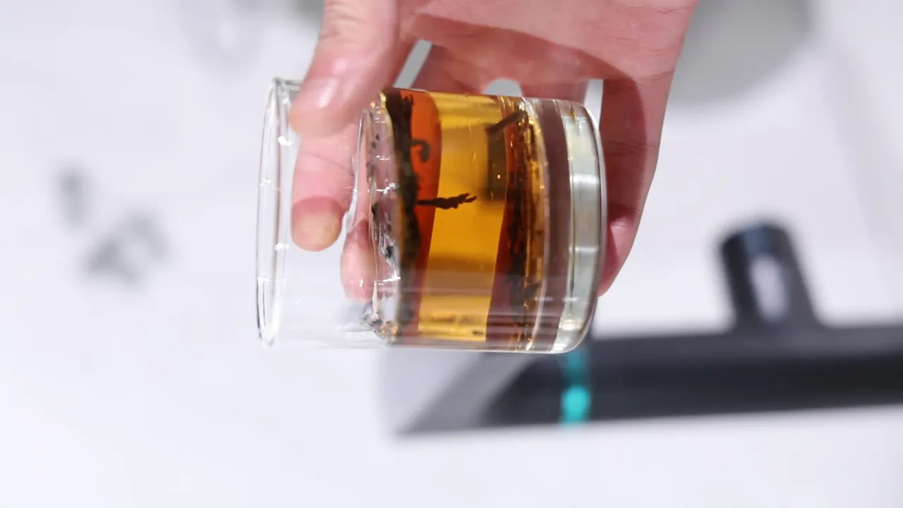 净水器 63