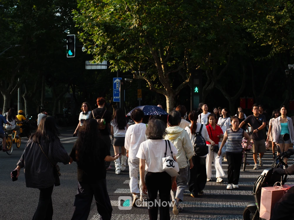 城市街头林荫道斑马线行人过街人文摄影
