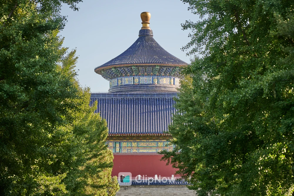 北京天坛 8