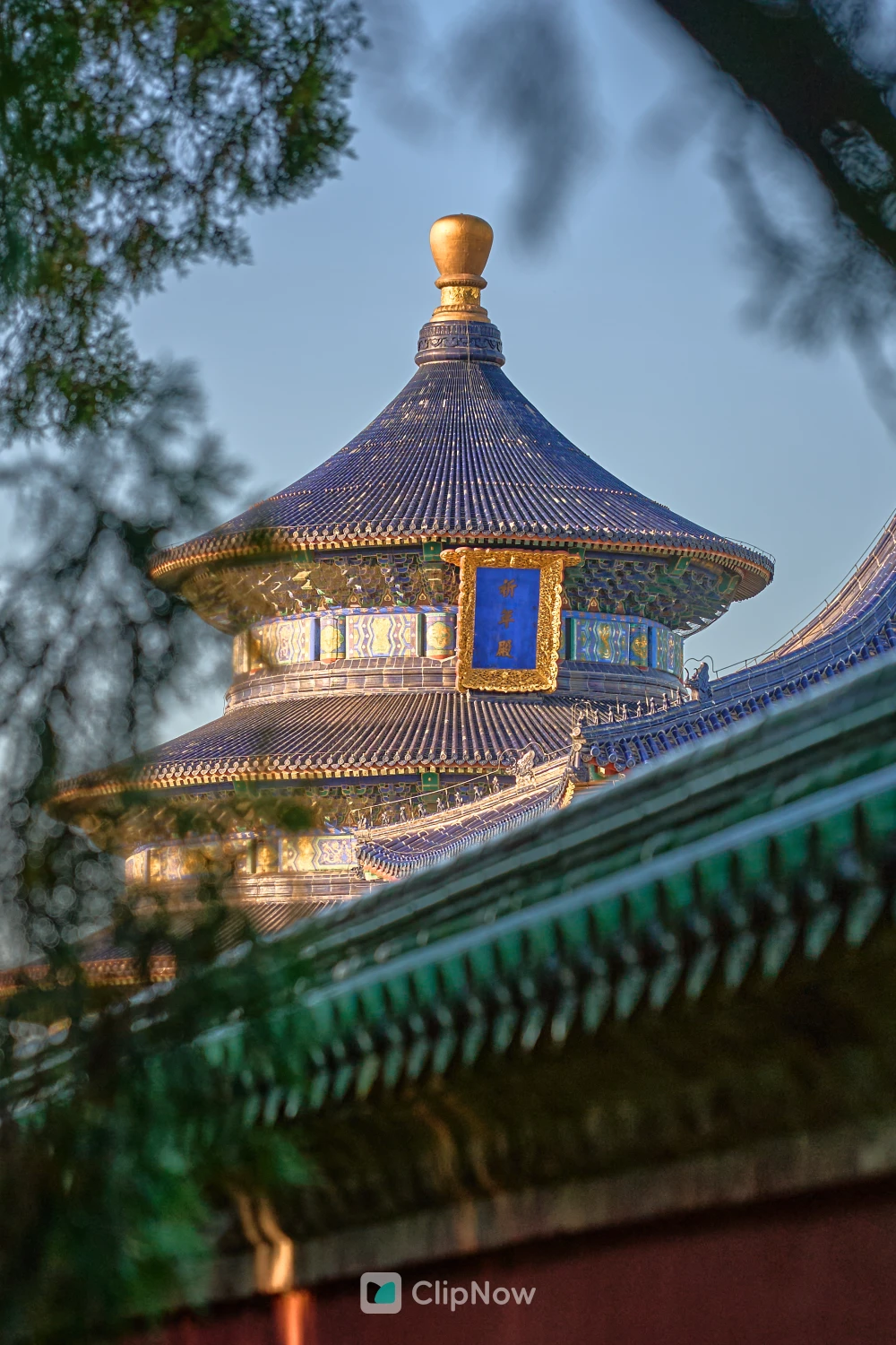 北京天坛 12