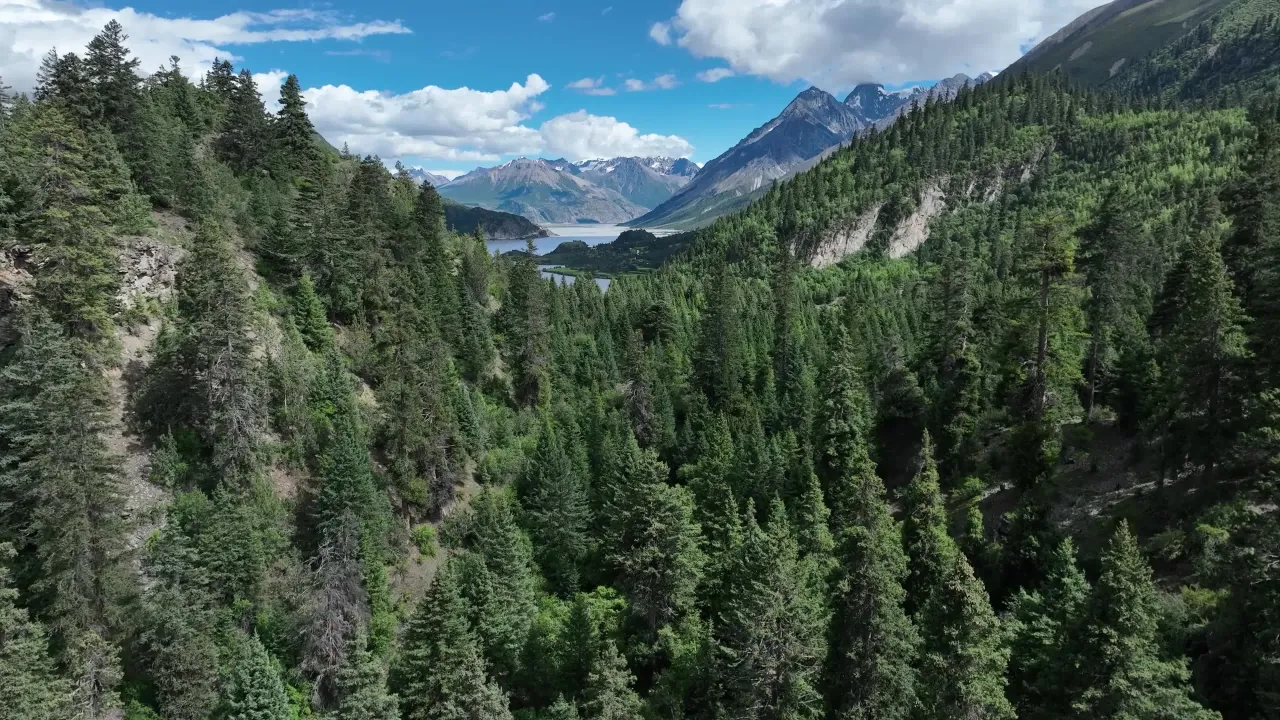 航拍高山森林与湖泊全景