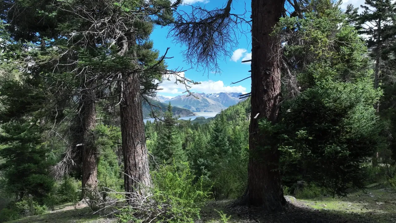 高山湖泊森林航拍全景