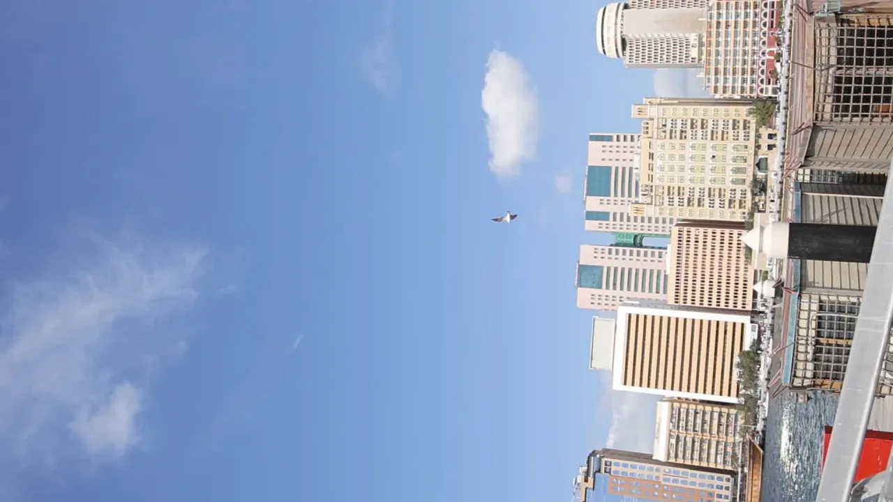 迪拜 53