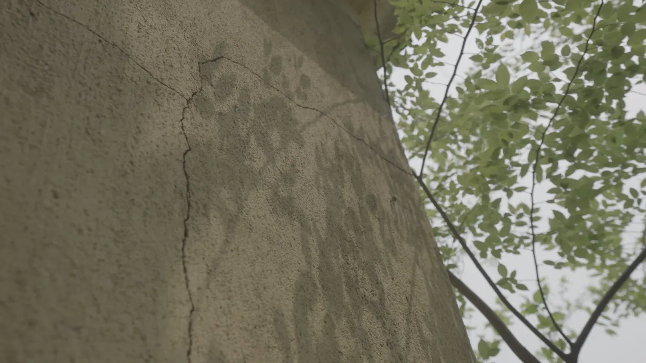 铜官窑 44