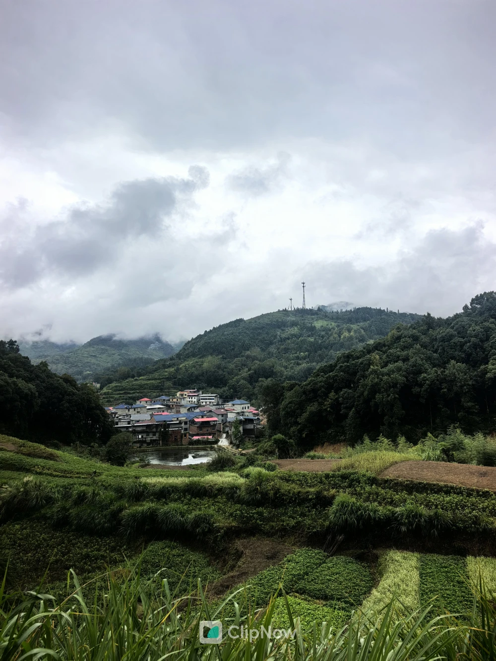 云雾缭绕的高山梯田村落与茂密森林风光