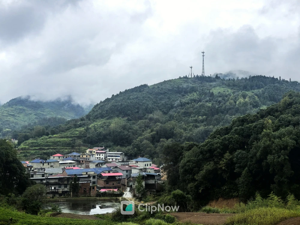云雾缭绕青山下的宁静乡村聚落风光摄影