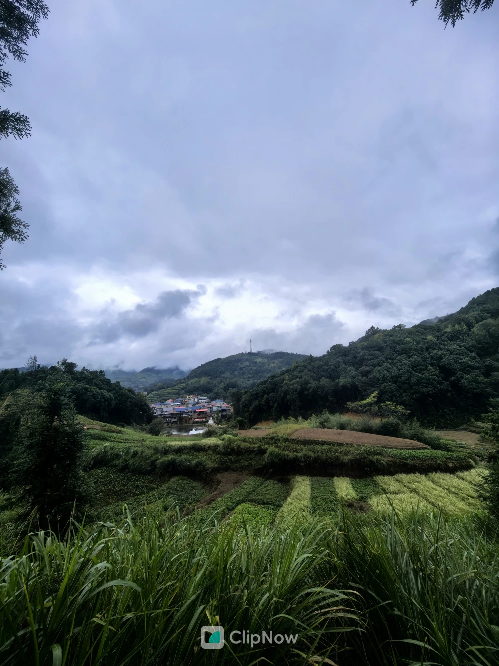 云雾缭绕的山谷梯田与静谧村落风光摄影
